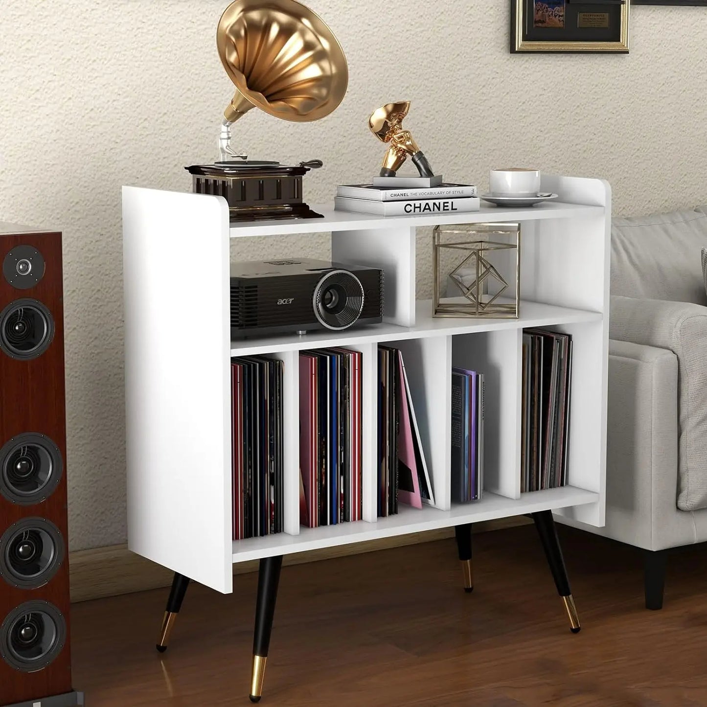 2-Shelf Audio Record Rack