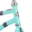 Huffy Fairmont 20" Cruiser Girl's Bike - Metallic Teal